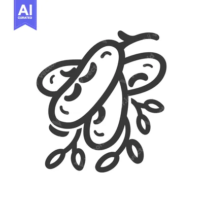 Hand-drawn illustration of a bunch of olives