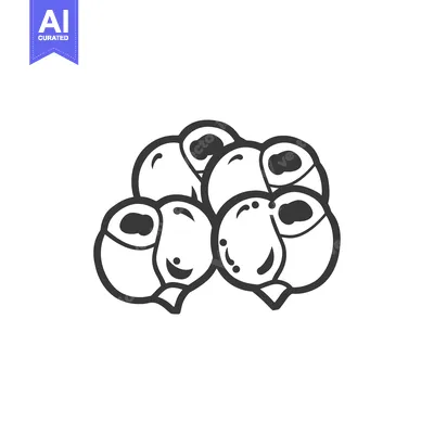 Popular premium asset: Hand-Drawn Illustration of a Cluster of Blackberries