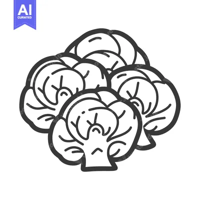 Premium design asset: Hand-drawn illustration of a cluster of Brussels sprouts