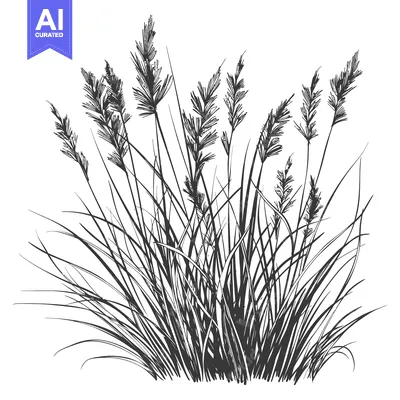 Popular premium asset: Hand-Drawn Illustration of a Cluster of Tall Grass with Delicate Seed