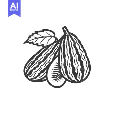 Aset premium populer: Hand-Drawn Illustration of a Fig with Leaf
