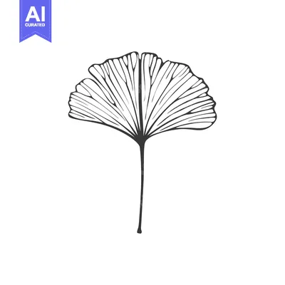 Aset desain premium: Hand-drawn Illustration of a Ginkgo Biloba Leaf