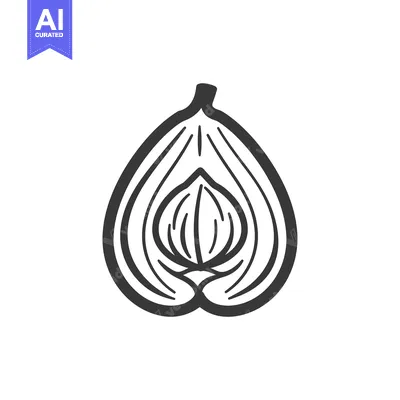 Aset premium populer: Hand-Drawn Illustration of a Halved Fig with Visible Interior