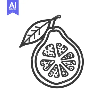 Aset desain premium: Hand-Drawn Illustration of a Halved Guava with a Leaf