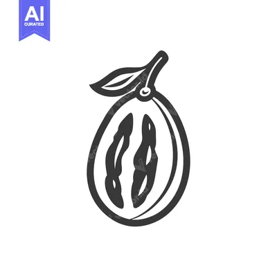 Popular premium asset: Hand-drawn illustration of a halved vanilla bean with a leaf