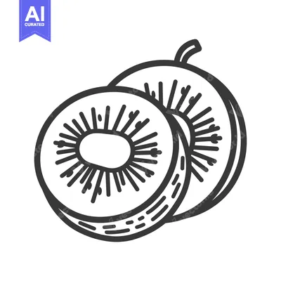 Aset desain premium: Hand-drawn illustration of a kiwi fruit sliced in half