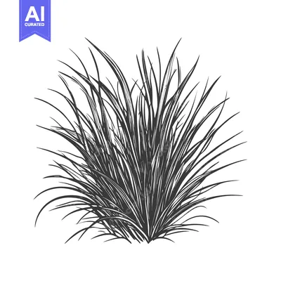 Aset premium populer: Hand-Drawn Illustration of a Lush, Black and White Grass Clump