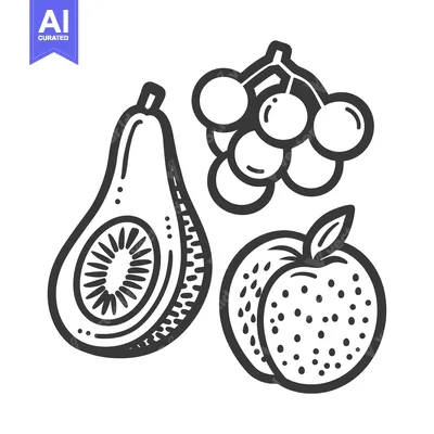 Popular premium asset: Hand-drawn illustration of an avocado, grapes, and a peach