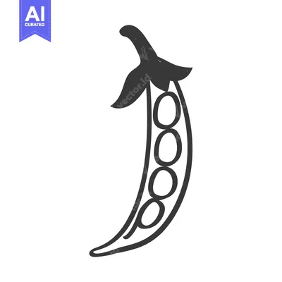 Aset premium populer: Hand-drawn illustration of a pea pod with peas