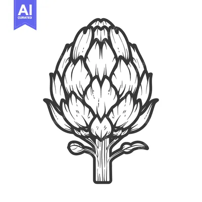 Popular premium asset: Hand-Drawn Illustration of a Single Artichoke