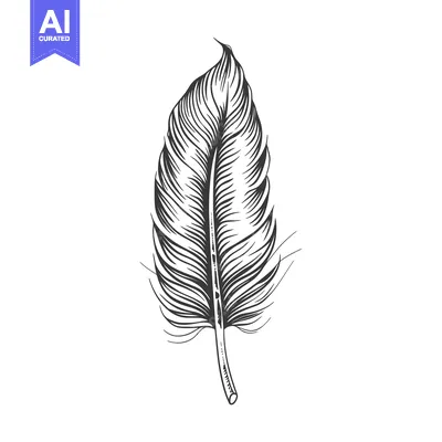 Premium design asset: Hand-Drawn Illustration of a Single Bird Feather