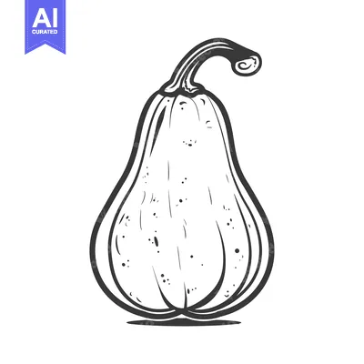 Aset desain premium: Hand-Drawn Illustration of a Single Butternut Squash
