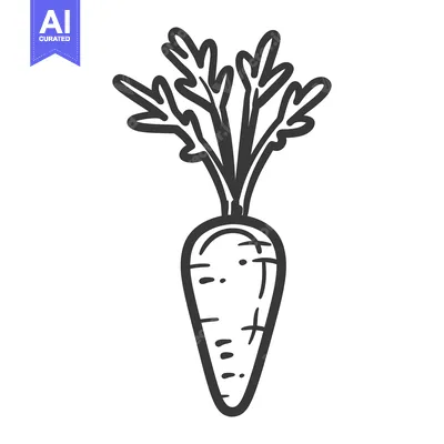 Aset premium populer: Hand-Drawn Illustration of a Single Carrot with Green Tops