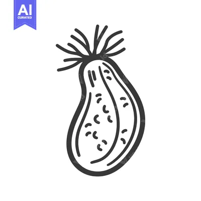Aset desain premium: Hand-drawn illustration of a single-celled organism with cilia