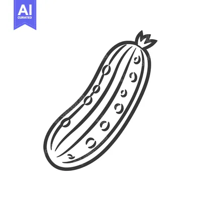Popular premium asset: Hand-Drawn Illustration of a Single Cucumber
