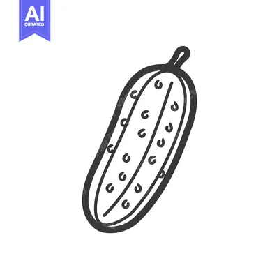 Popular premium asset: Hand-drawn illustration of a single cucumber with seeds
