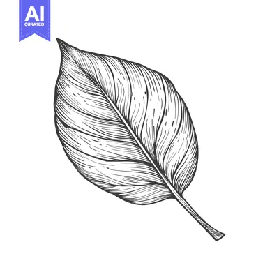 Premium design asset: Hand-Drawn Illustration of a Single Detailed Leaf