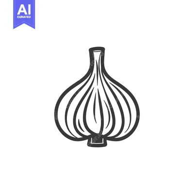 Popular premium asset: Hand-Drawn Illustration of a Single Garlic Bulb