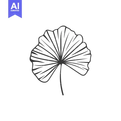 Premium design asset: Hand-Drawn Illustration of a Single Ginkgo Leaf