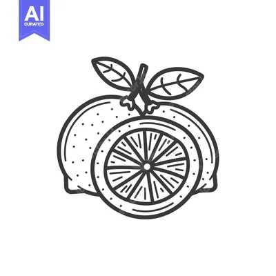 Aset desain premium: Hand-drawn illustration of a single lemon with leaves