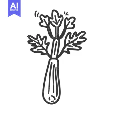 Hand-drawn illustration of a single stalk of celery