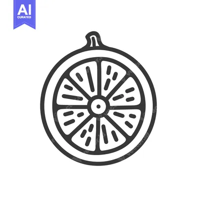 Premium design asset: Hand-drawn illustration of a sliced citrus fruit