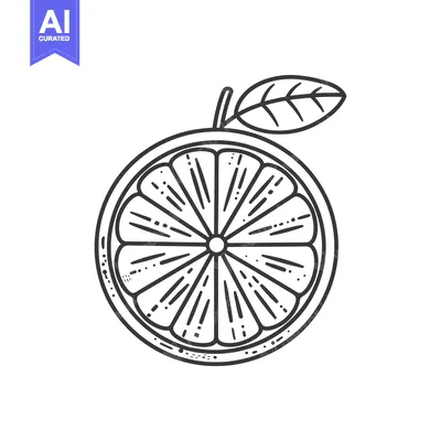 Aset premium populer: Hand-Drawn Illustration of a Sliced Orange with a Leaf
