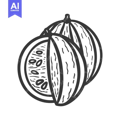 Premium design asset: Hand-drawn Illustration of a Sliced Watermelon