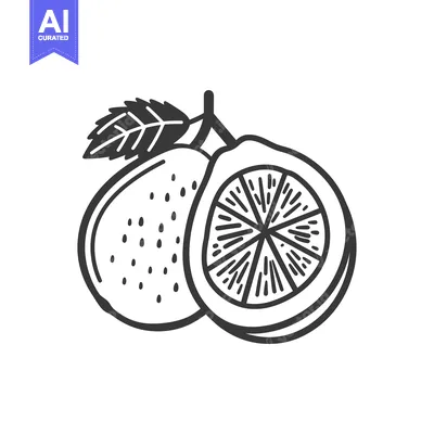 Aset premium populer: Hand-drawn illustration of a whole and a sliced guava with a leaf
