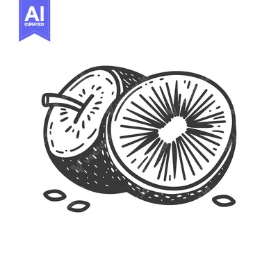 Aset premium populer: Hand-Drawn Illustration of a Whole and Sliced Kiwi Fruit with Seeds