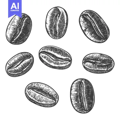 Aset premium populer: Hand-drawn Illustration of Coffee Beans in Black and White