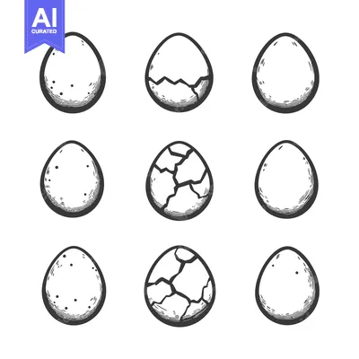 Aset premium populer: Hand-Drawn Illustration of Eggs in Various Stages of Cracking