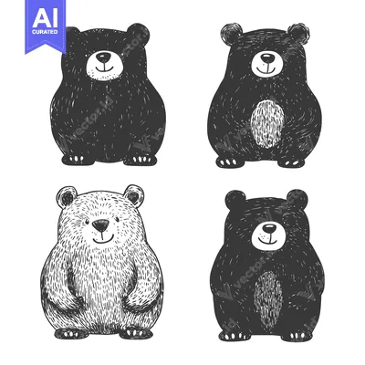 Aset premium populer: Hand-Drawn Illustration of Four Black and White Bears