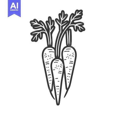 Aset premium populer: Hand-Drawn Illustration of Four Carrots with Green Tops