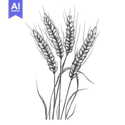 Aset premium populer: Hand-drawn Illustration of Four Wheat Stalks