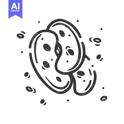 Aset premium populer: Hand-Drawn Illustration of Sliced Apple with Seeds
