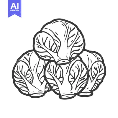 Aset premium populer: Hand-drawn Illustration of Three Brussels Sprouts