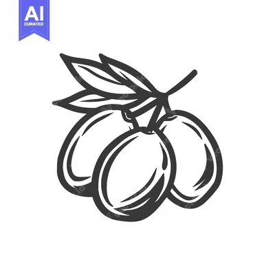 Aset premium populer: Hand-drawn illustration of three olives with a leaf