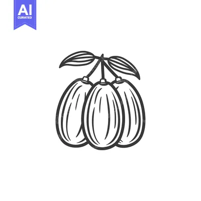 Aset premium populer: Hand-Drawn Illustration of Three Olives with Leaves