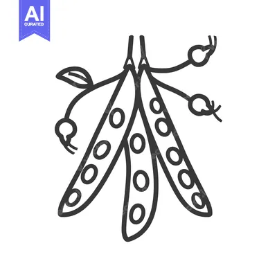 Premium design asset: Hand-drawn Illustration of Three Pea Pods with Stems and Leaf