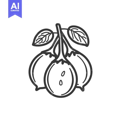 Premium design asset: Hand-drawn illustration of three round fruits with leaves