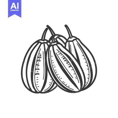 Aset desain premium: Hand-drawn illustration of three striped gourds