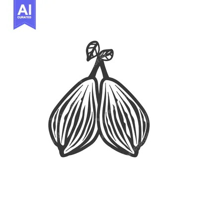 Aset premium populer: Hand-drawn illustration of two figs with leaves