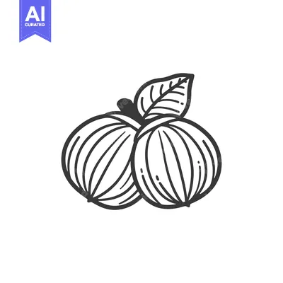 Aset desain premium: Hand-drawn Illustration of Two Hazelnut Nuts with a Leaf
