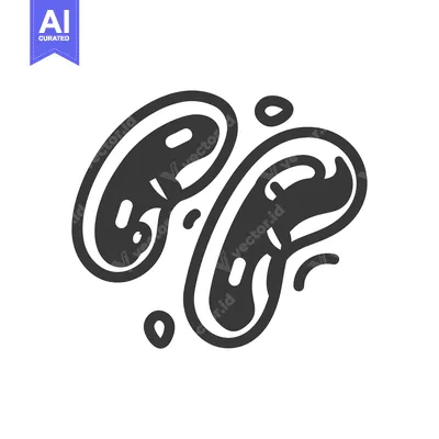 Premium design asset: Hand-drawn Illustration of Two Kidney Beans with Outline