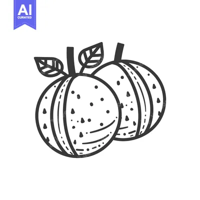 Premium design asset: Hand-drawn illustration of two oranges with leaves