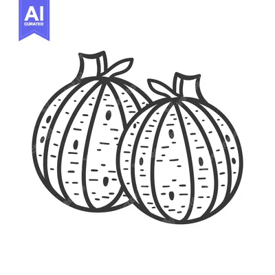 Aset desain premium: Hand-drawn Illustration of Two Whole Onions