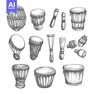 Aset desain premium: Hand-drawn Illustration of Various Drums and Percussion Instruments
