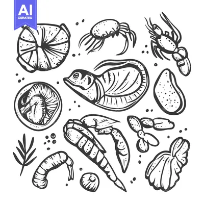 Popular premium asset: Hand-Drawn Illustration of Various Marine Creatures