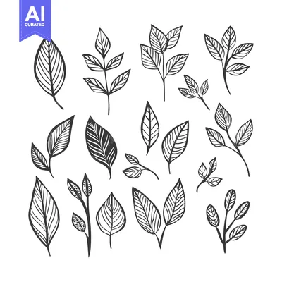 Download Hand-Drawn Line Art Collection of Various Leaves and Stems Vector Graphic